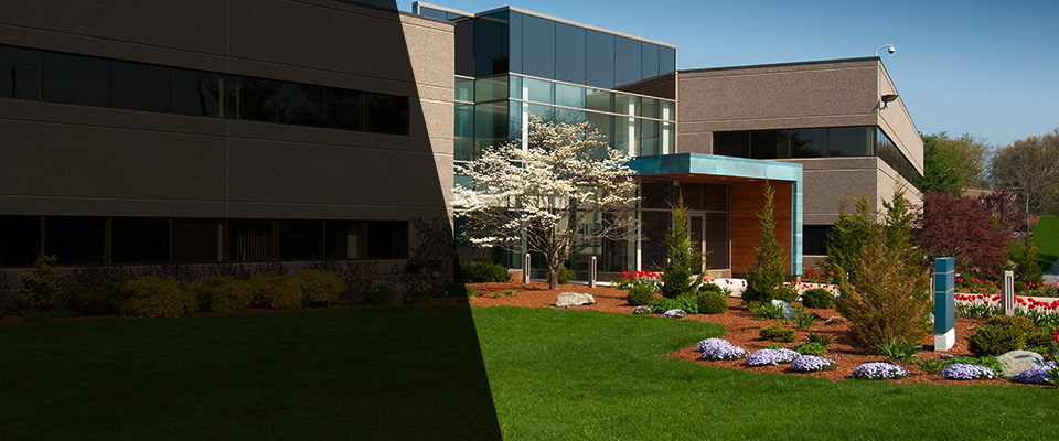 Woodlawn Landscapers