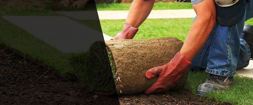 Woodlawn Landscapers